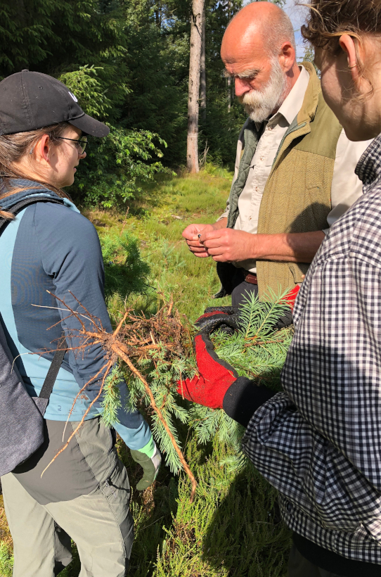 Die Teilnehmenden erhalten bei Förster Jörn Hinrich Frank Einblicke in die heimische Waldökologie und die vielfältigen Aufgaben einer nachhaltigen Forstwirtschaft c SHLF